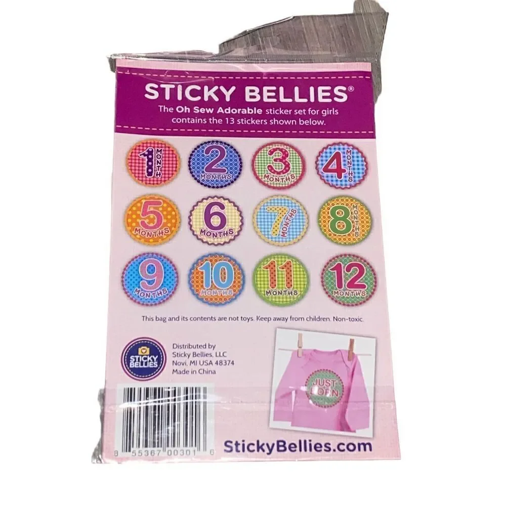 Babys First Year Milestone Belly Stickers 1-12 Month Stickers Peel Stick Click